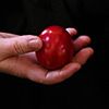 20 апреля 2025 года. Пасхальная вечерня